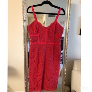 Express Lace Bustier Dress